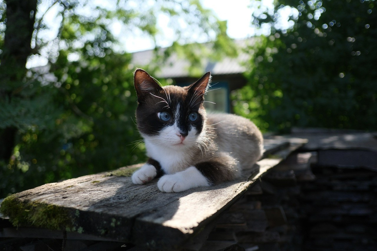 Вологодская область. Фотограф Евгений Андреев