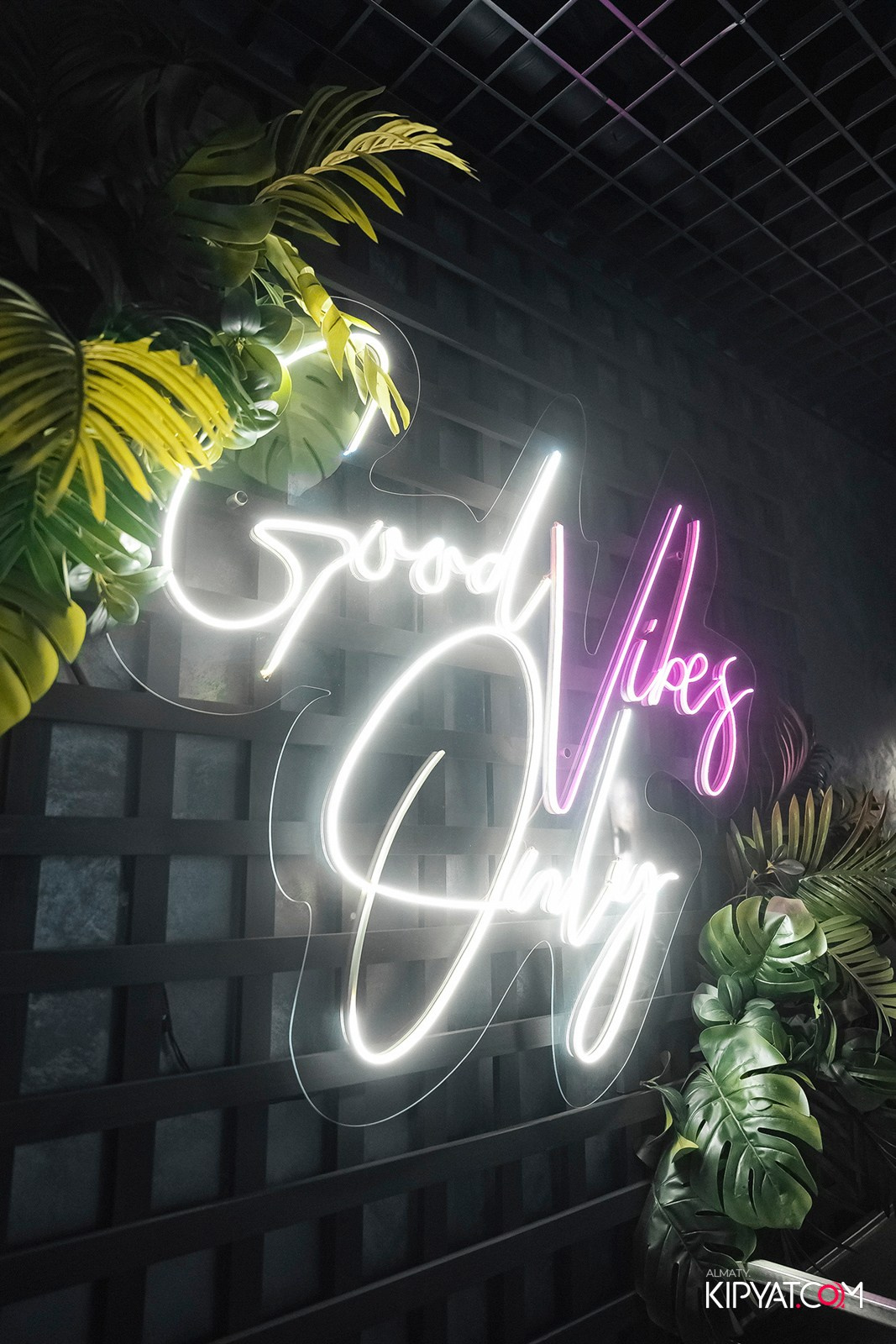 ДОРОГАЯ, Я НЕ ПИЛ. КИПЯТКОМ АЛМАТЫ!