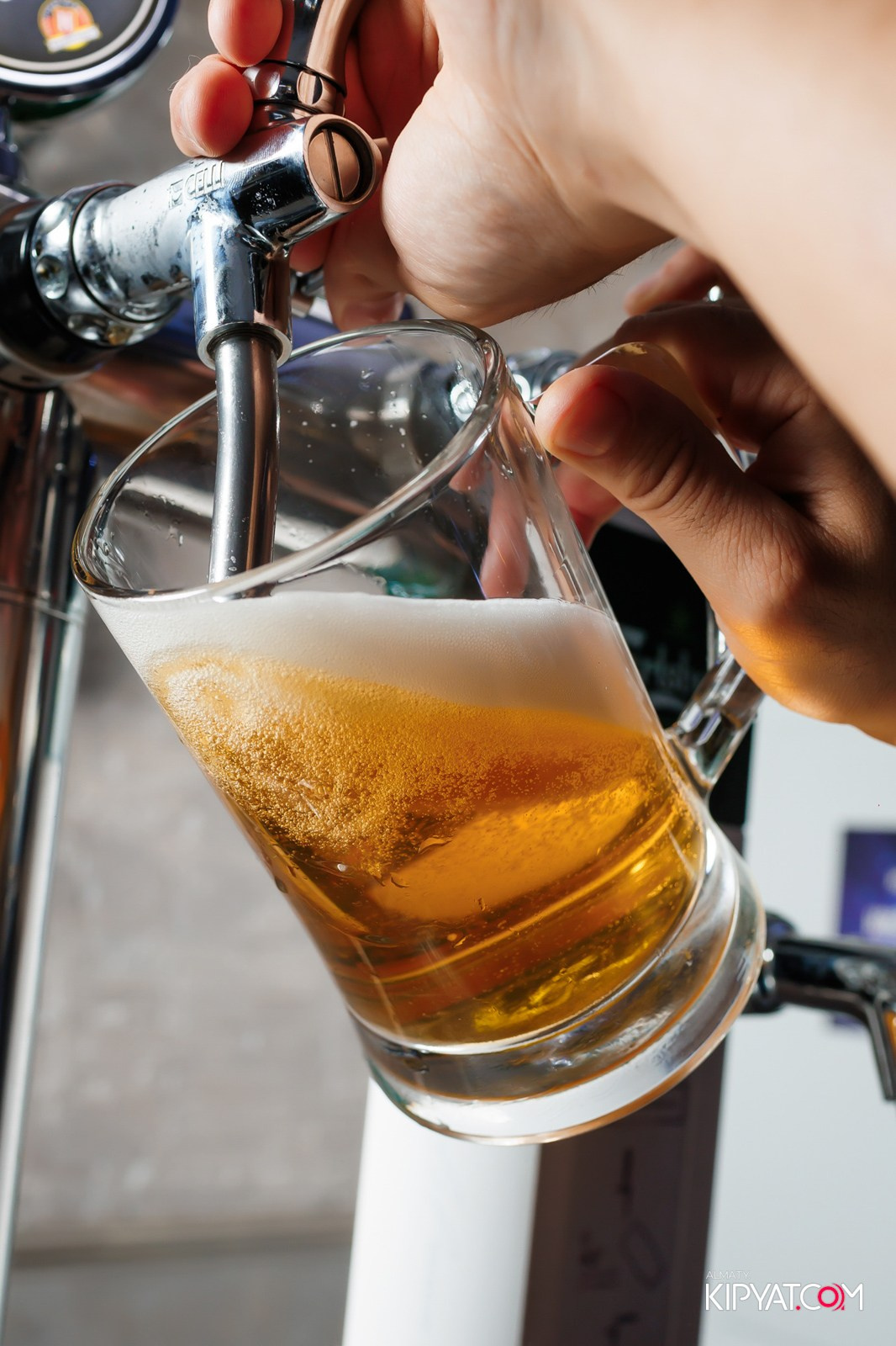 УХО И МЕДВЕДЬ НА ГАГАРИНА. КИПЯТКОМ АЛМАТЫ!