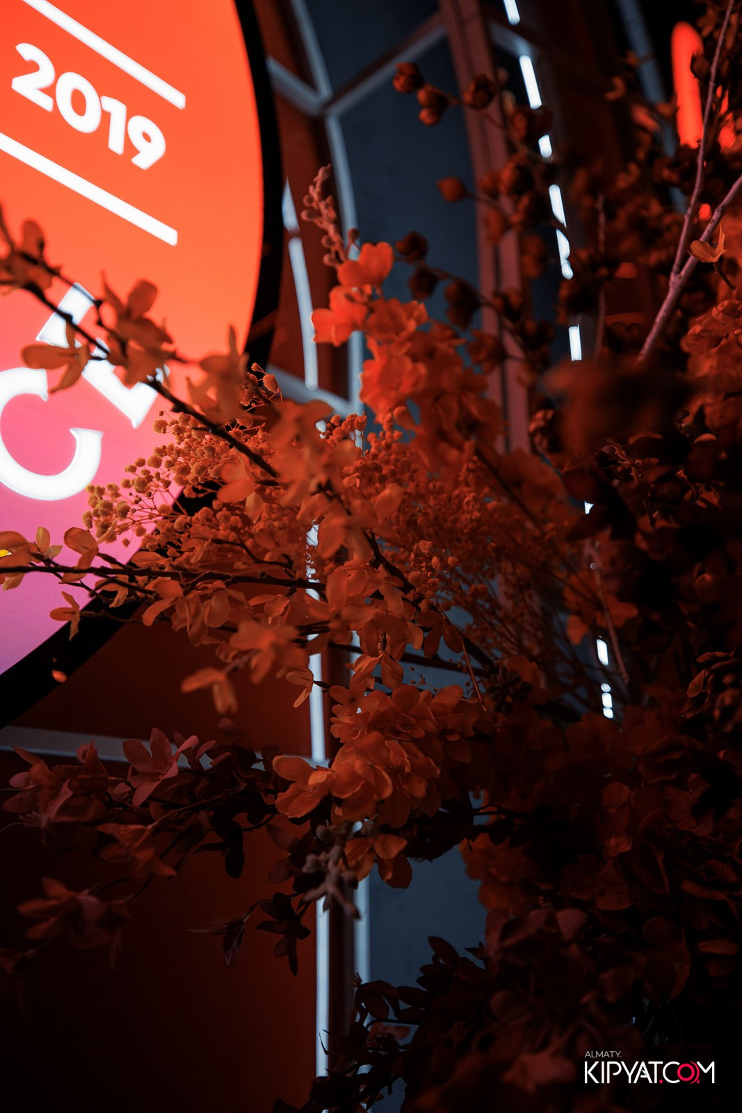 FRIENDS BAR & TERRACE. КИПЯТКОМ АЛМАТЫ!