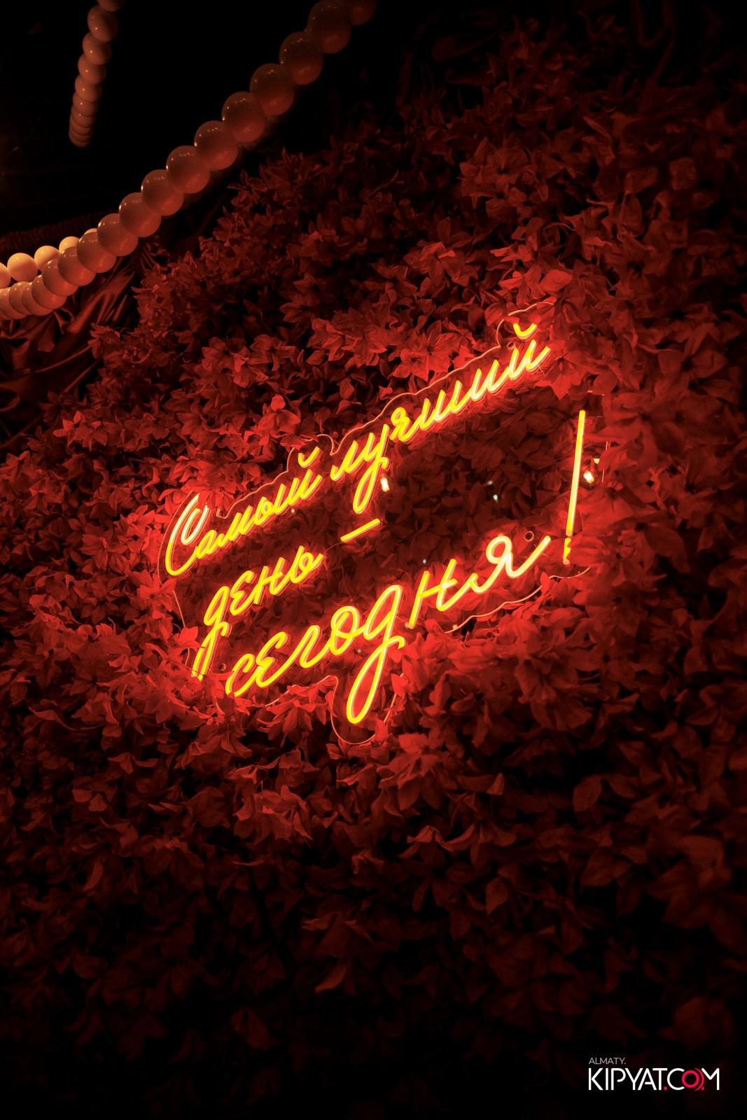 ДОРОГАЯ, Я НЕ ПИЛ. КИПЯТКОМ АЛМАТЫ! Фотосъемка мероприятий в Алматы