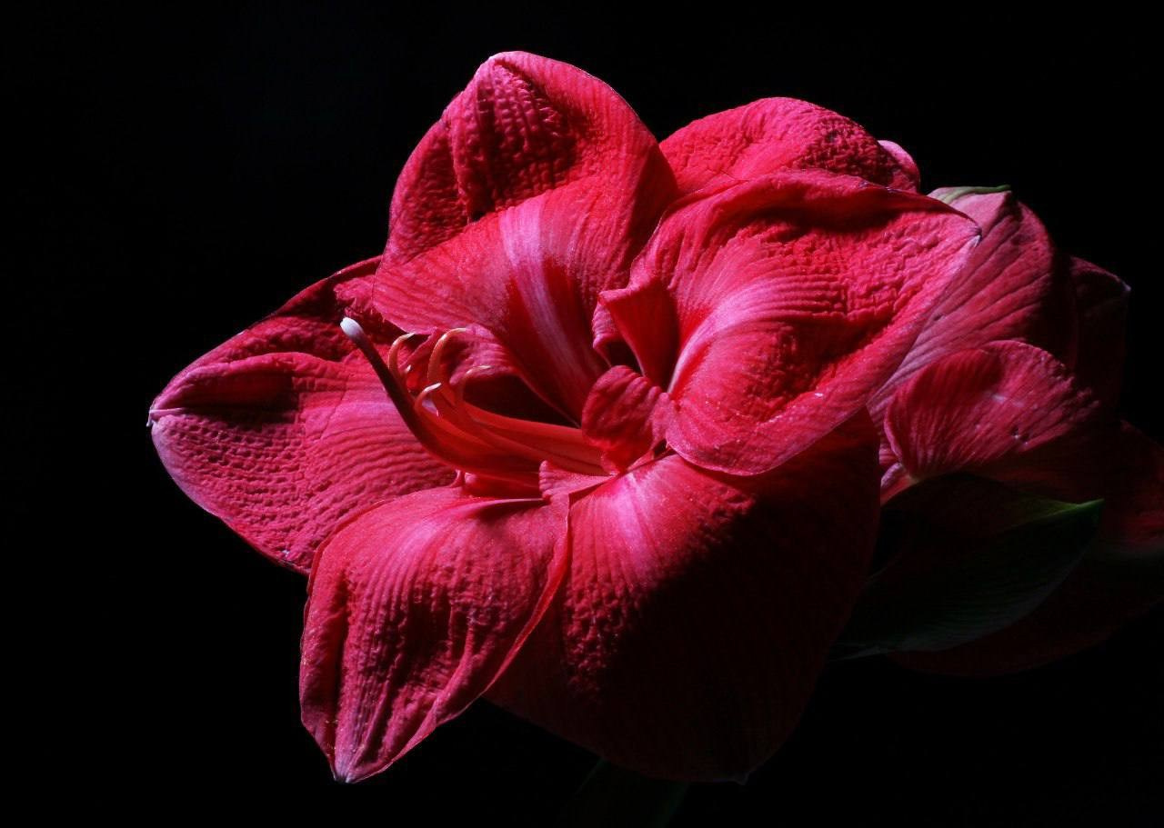 Предметы. Фотограф в Москве Юлия Майорова