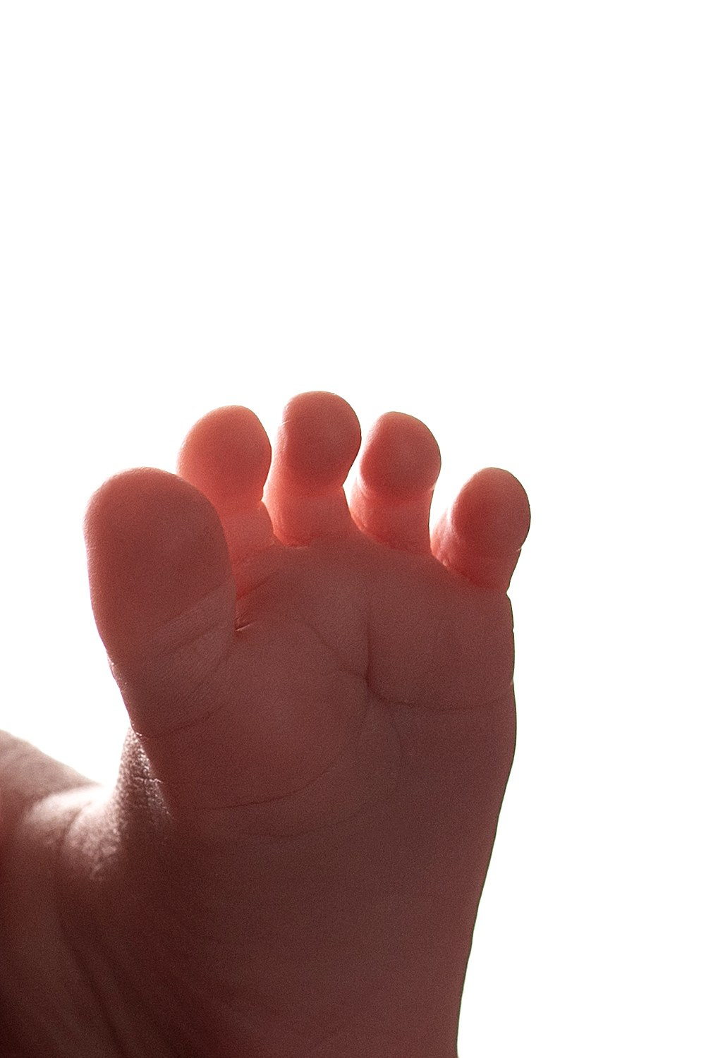 Новорождённые мальчики. Детский фотограф новорождённых в Минске Боровик Екатерина