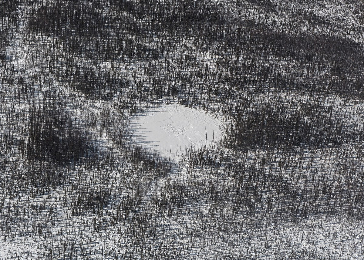 Атлас первого снега серия фотографий. Елена Аносова — художница и исследовательница, куратор и лектор