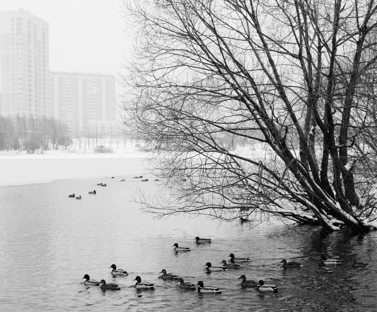 Город. Фотограф и видеооператор из Москвы Алексей Черкасов