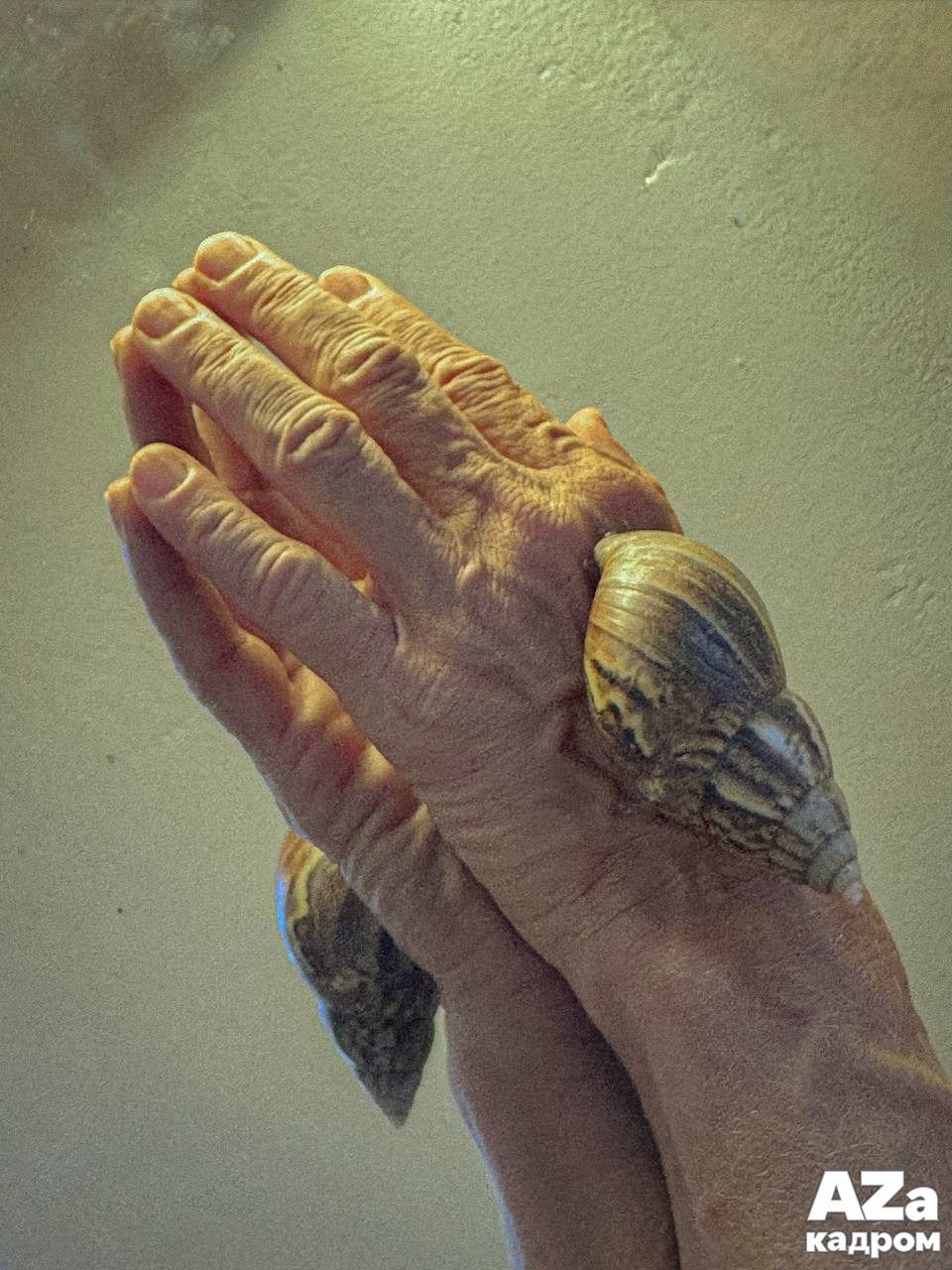 AZакадром «Что для меня дом». Женский семейный фотограф Тула Москва Захарова Анна