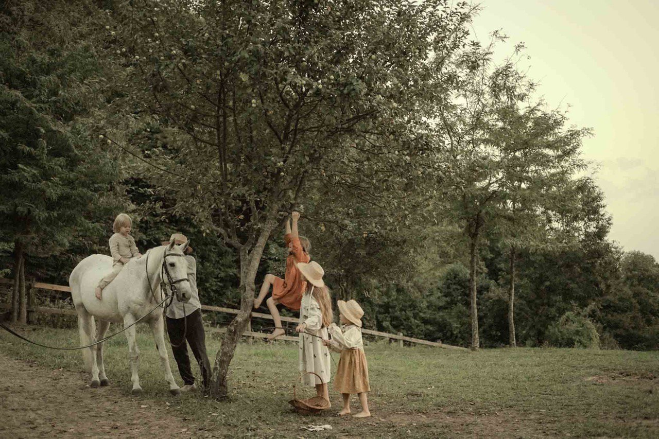 Ферма. Главная