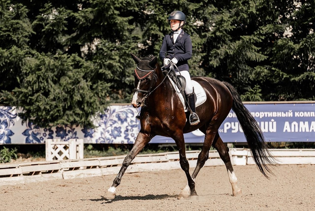 КУБОК по ВЫЕЗДКЕ КСК «РУССКИЙ АЛМАЗ». Конный фотограф Куракина Дарья • Фотосессии с лошадьми
