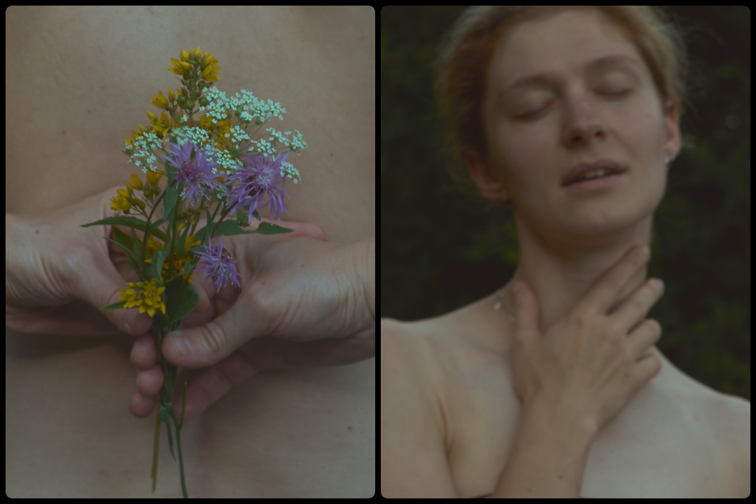 Summer field. Юля Ф