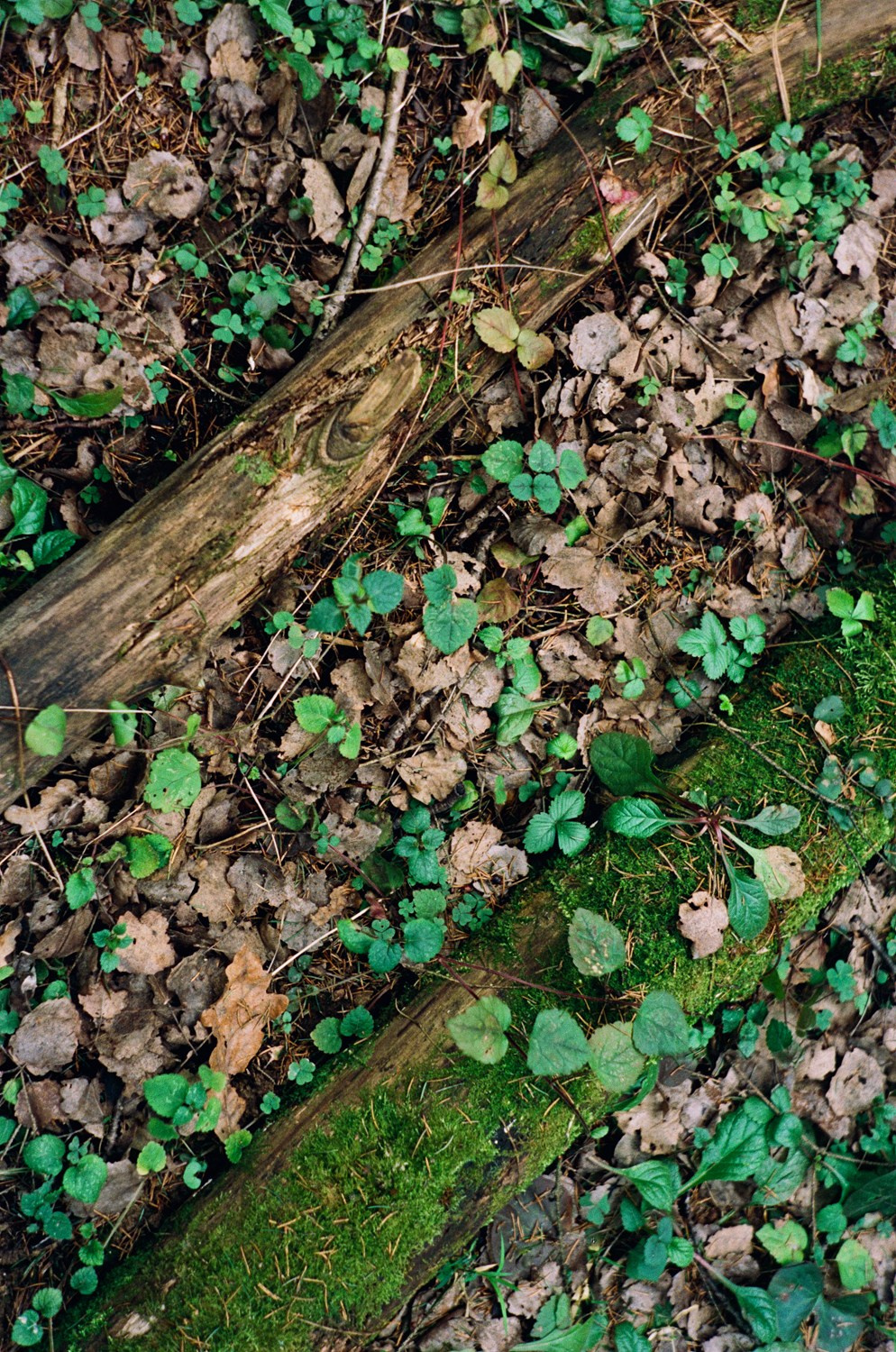 Уличная фотография каждый день