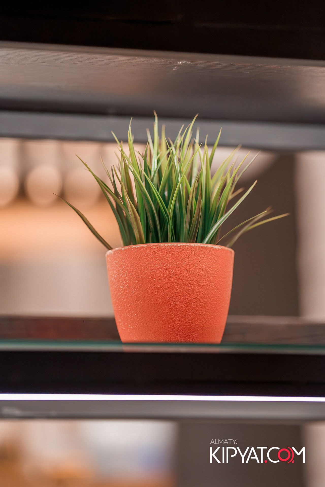 ШАШЛЫКОФФ. КИПЯТКОМ АЛМАТЫ!