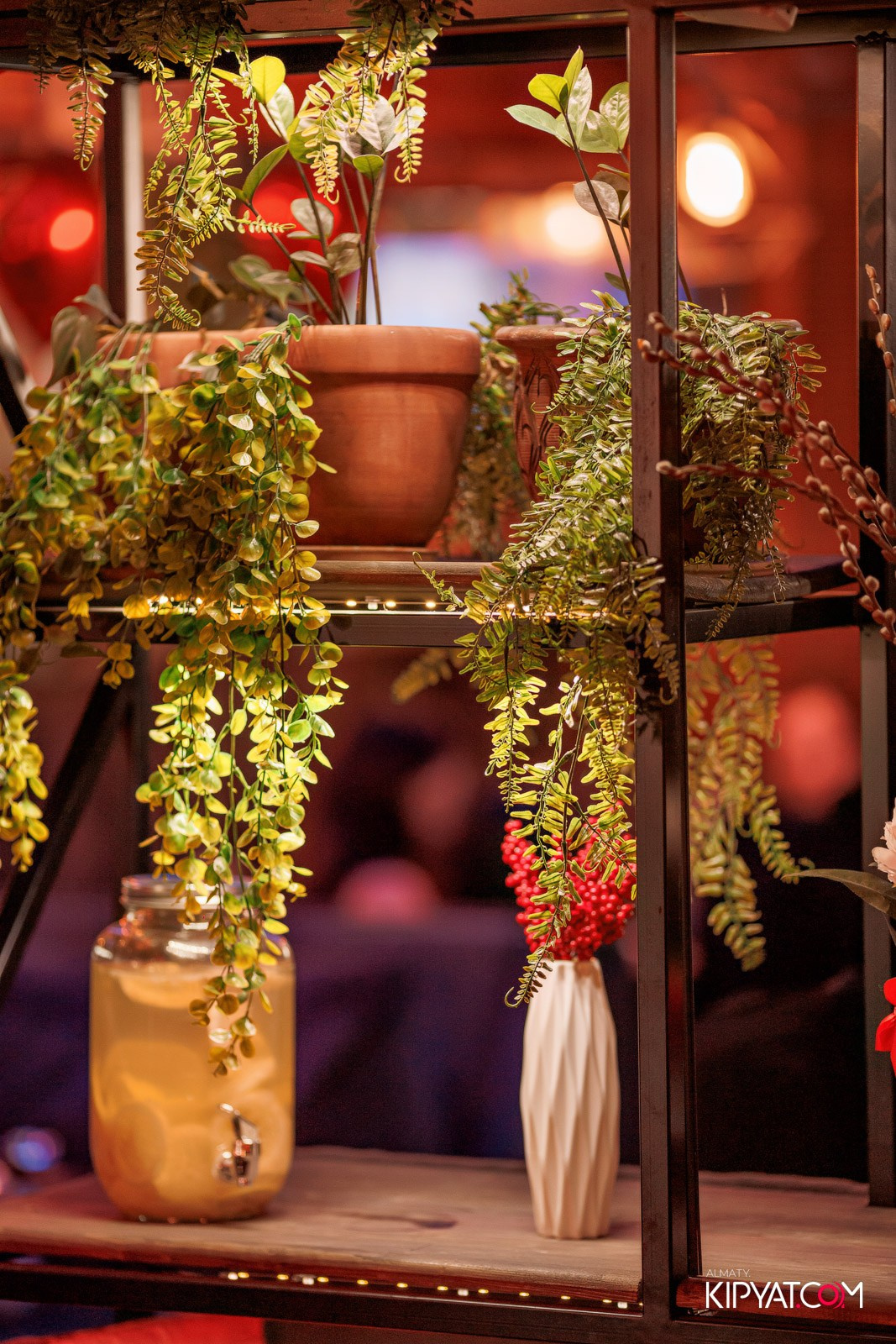 MAPACHE BAR. КИПЯТКОМ АЛМАТЫ!