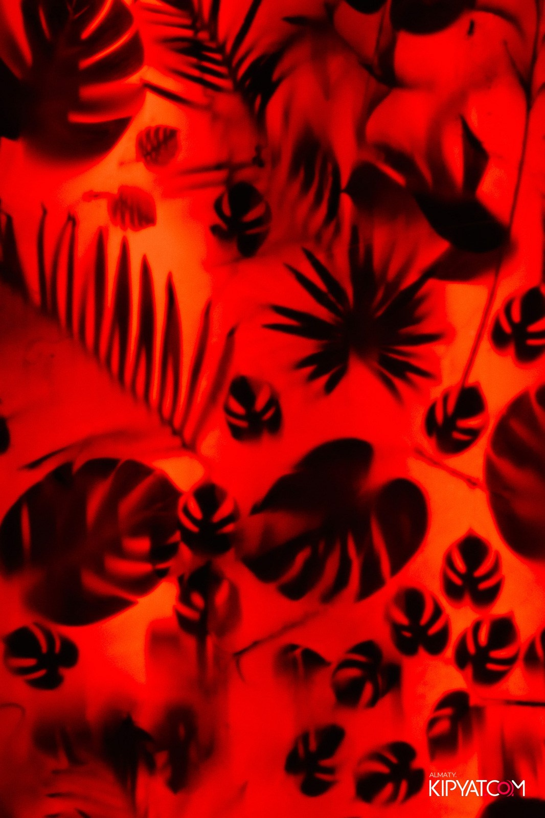 QUEEN. КИПЯТКОМ АЛМАТЫ!