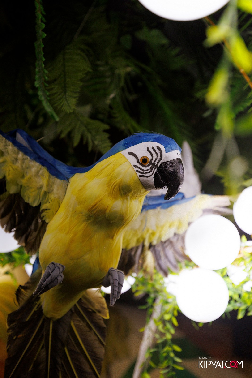 ДОРОГАЯ. Я НЕ ПИЛ. КИПЯТКОМ АЛМАТЫ! Фотосъемка мероприятий в Алматы
