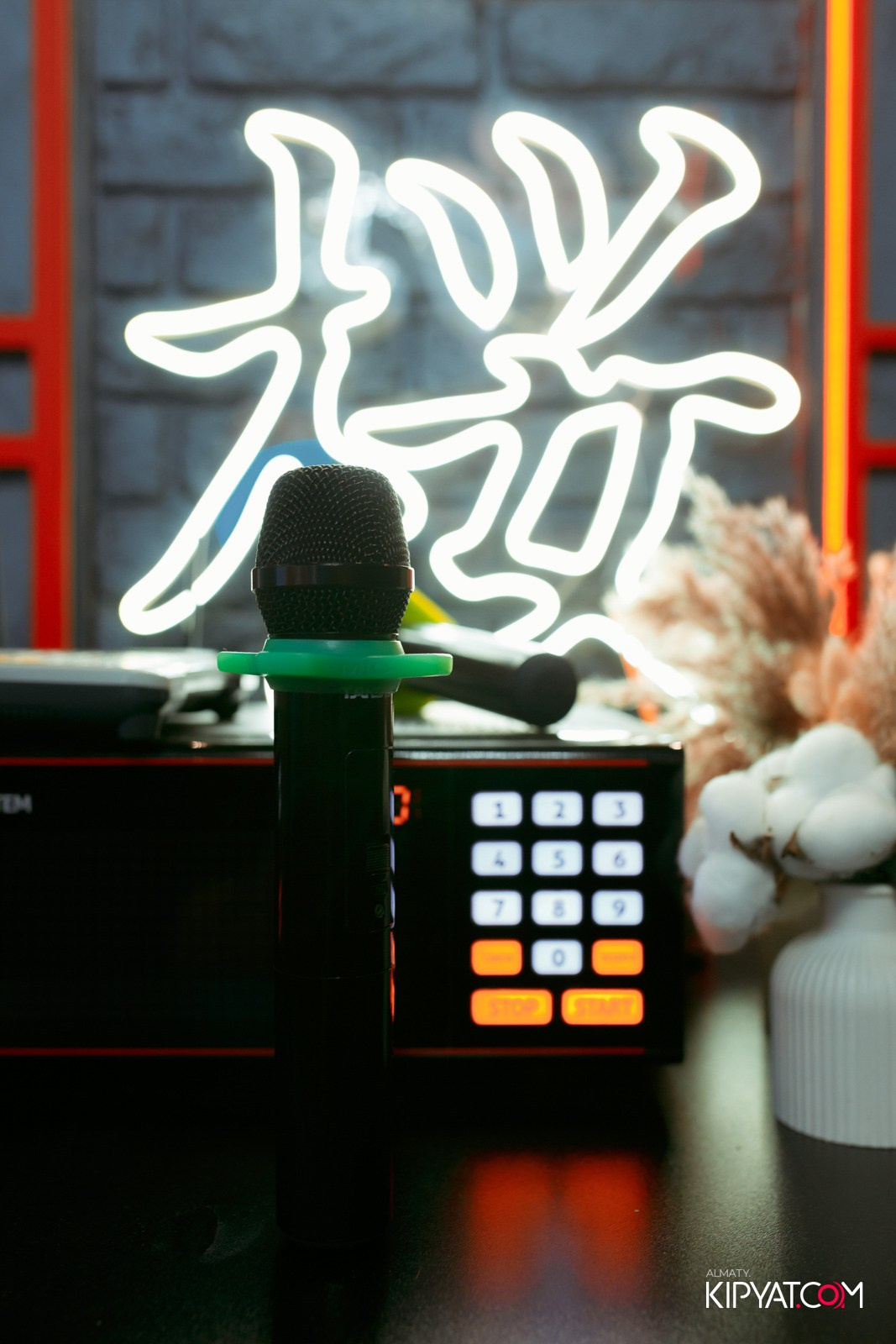 УХО И МЕДВЕДЬ НА КУРМАНГАЗЫ. КИПЯТКОМ АЛМАТЫ!