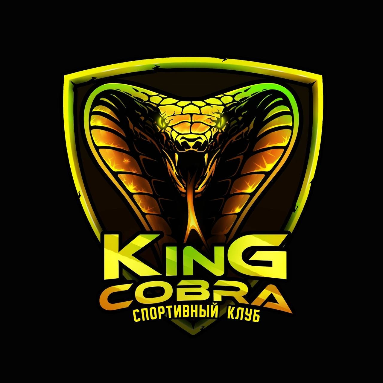 Съемка для Kingcobra, спортивный клуб. Соревнования г. Ижевск. Бизнес фотограф Ижевск — Назаров Роман