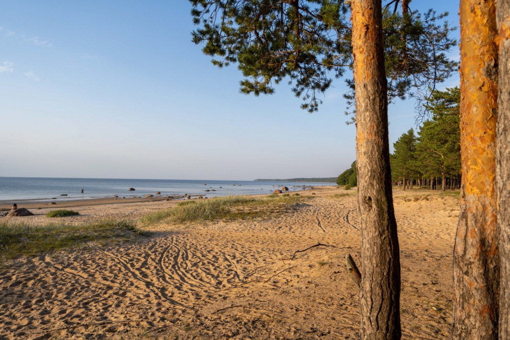 Выезд во дворец для импровизаторов. Импров Бюро