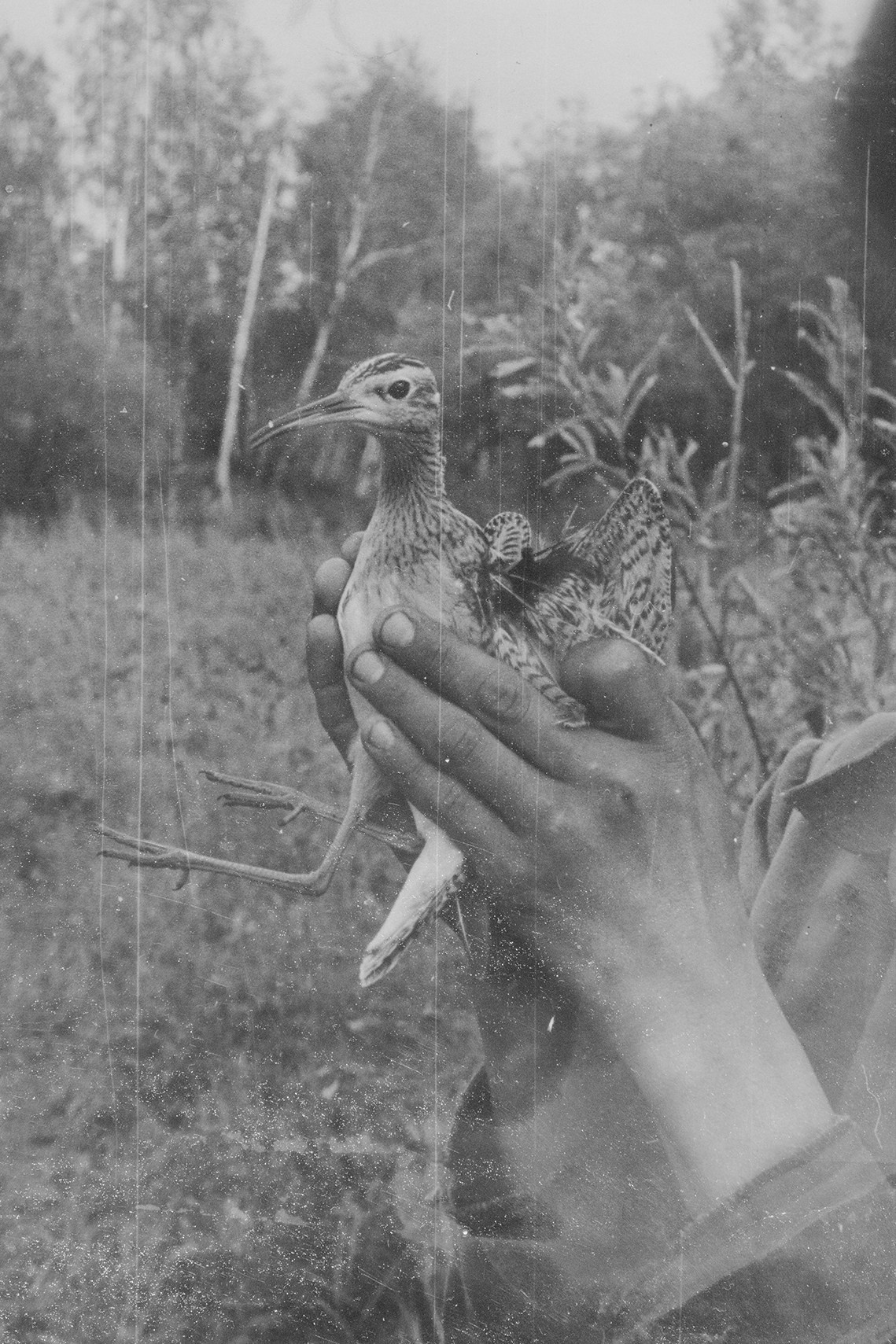 Real Darkness Has Love for a Face. Lesha Pavlov