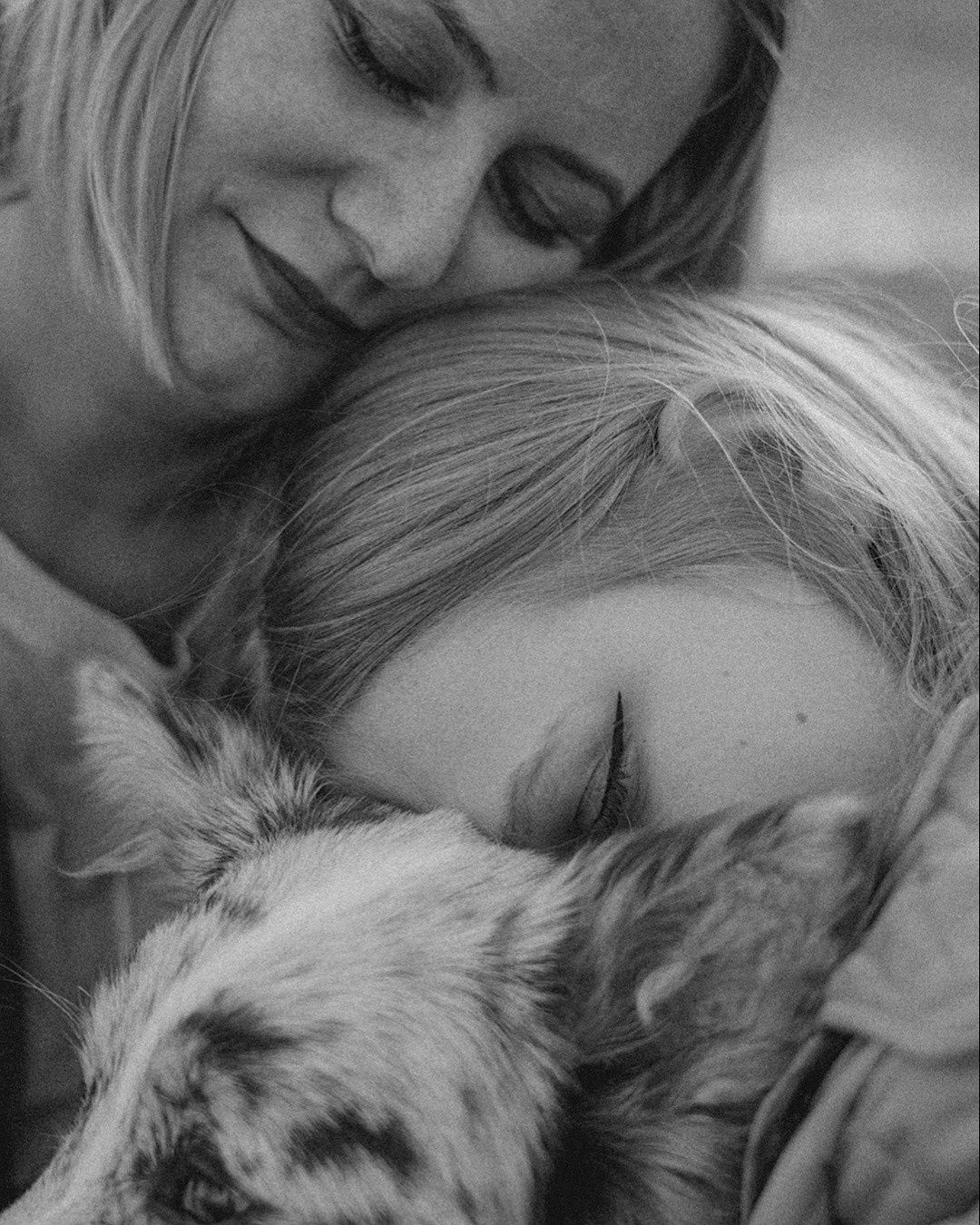 Света, Катрин и Умка. Фотограф анималист в Москве и Санкт-Петербурге Свиридова Анна