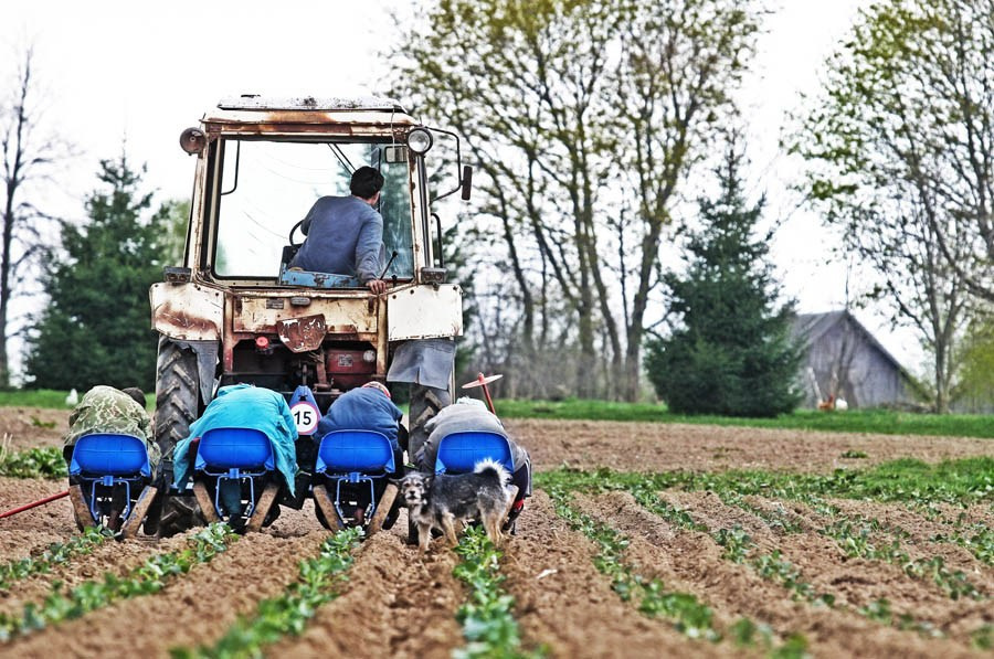 ФОТОЖУРНАЛИСТИКА. Репортажный фотограф в Минске. Алексей Матюшков