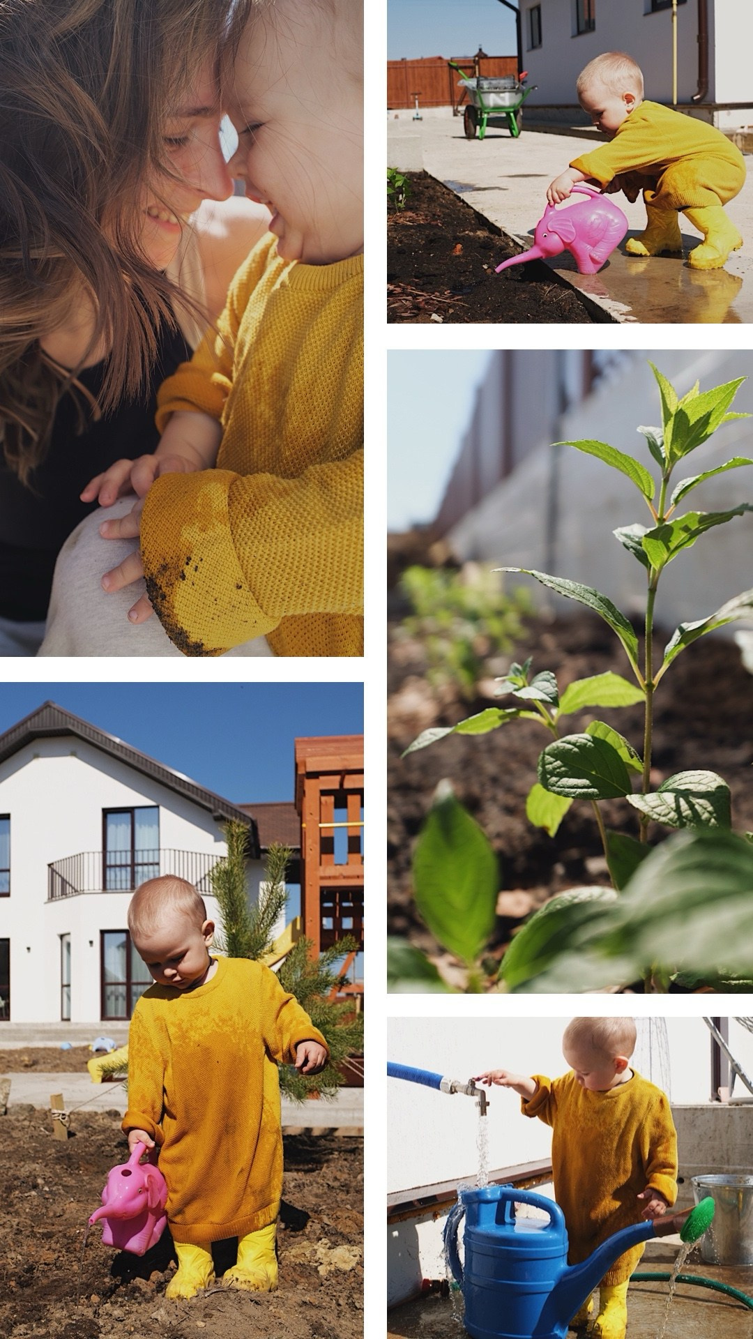 Семейные. Мусс Алина фотограф