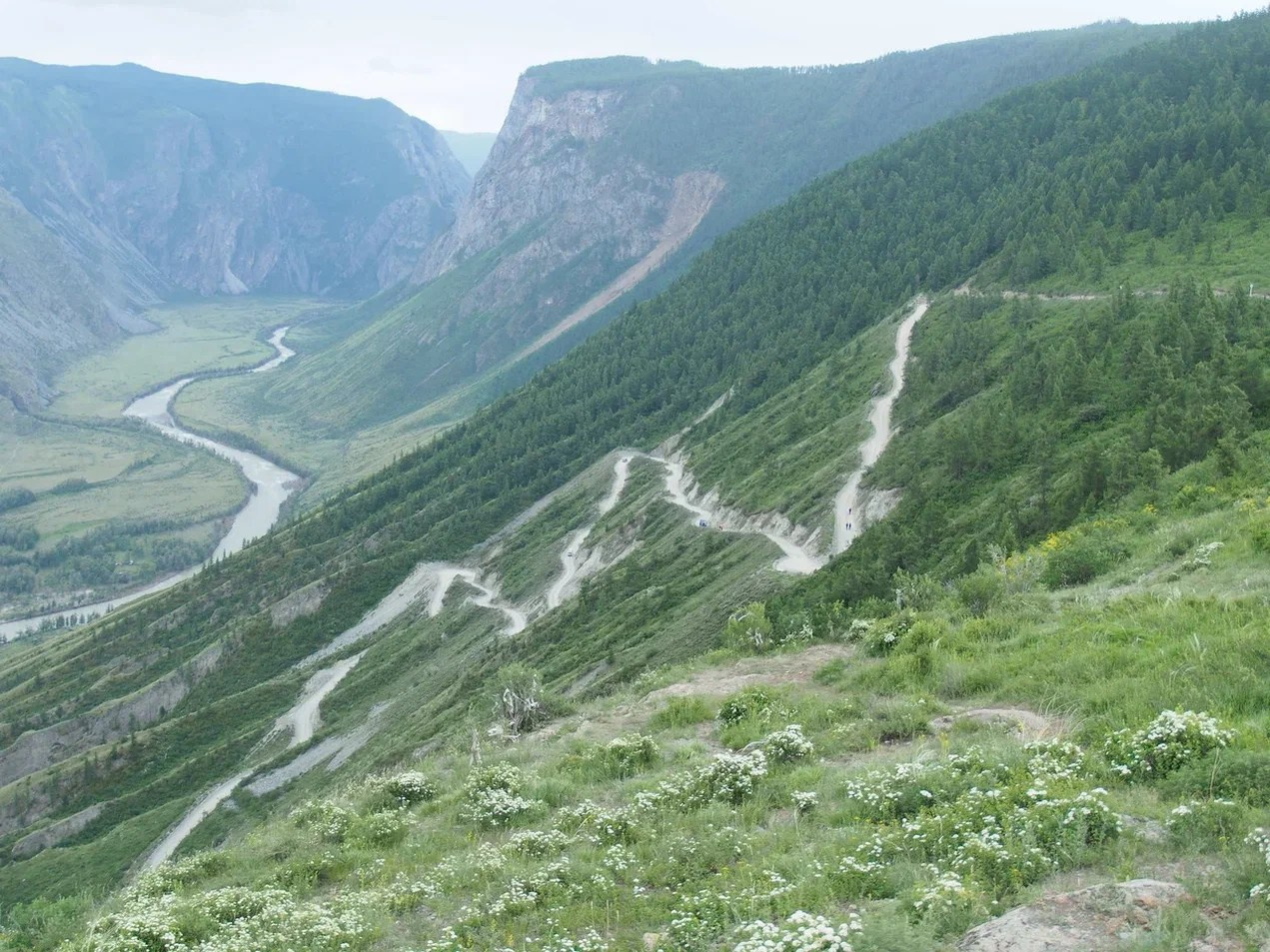Куркуре. Автотуры на Алтай с комфортом