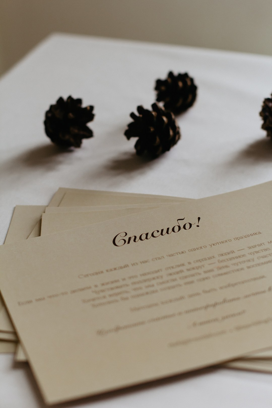 Репортаж. Романова Александра фотограф в Москве