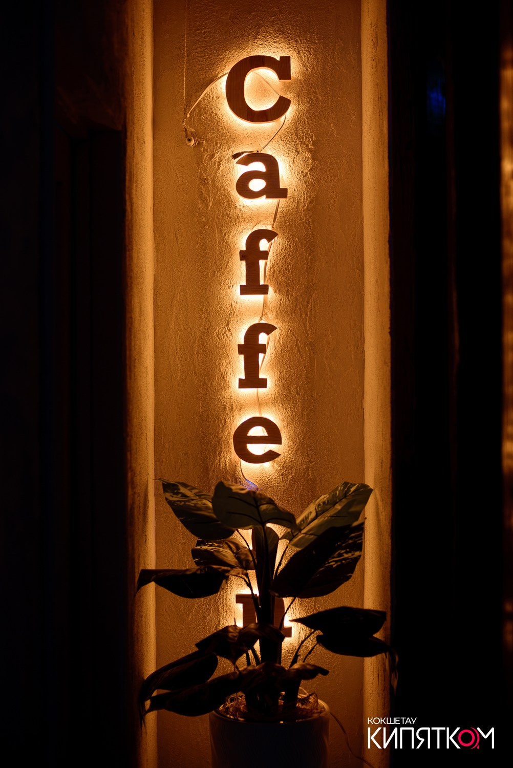 CAFFEIN/BEDDUIN. КИПЯТКОМ КОКШЕТАУ