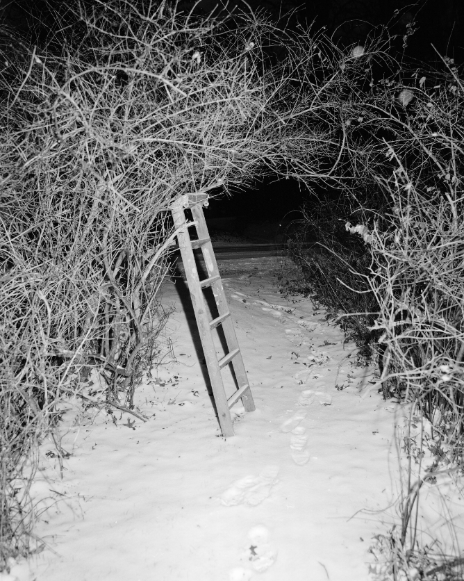 Фотографии Дэниела Рампулла (Daniel Rampulla). Private image