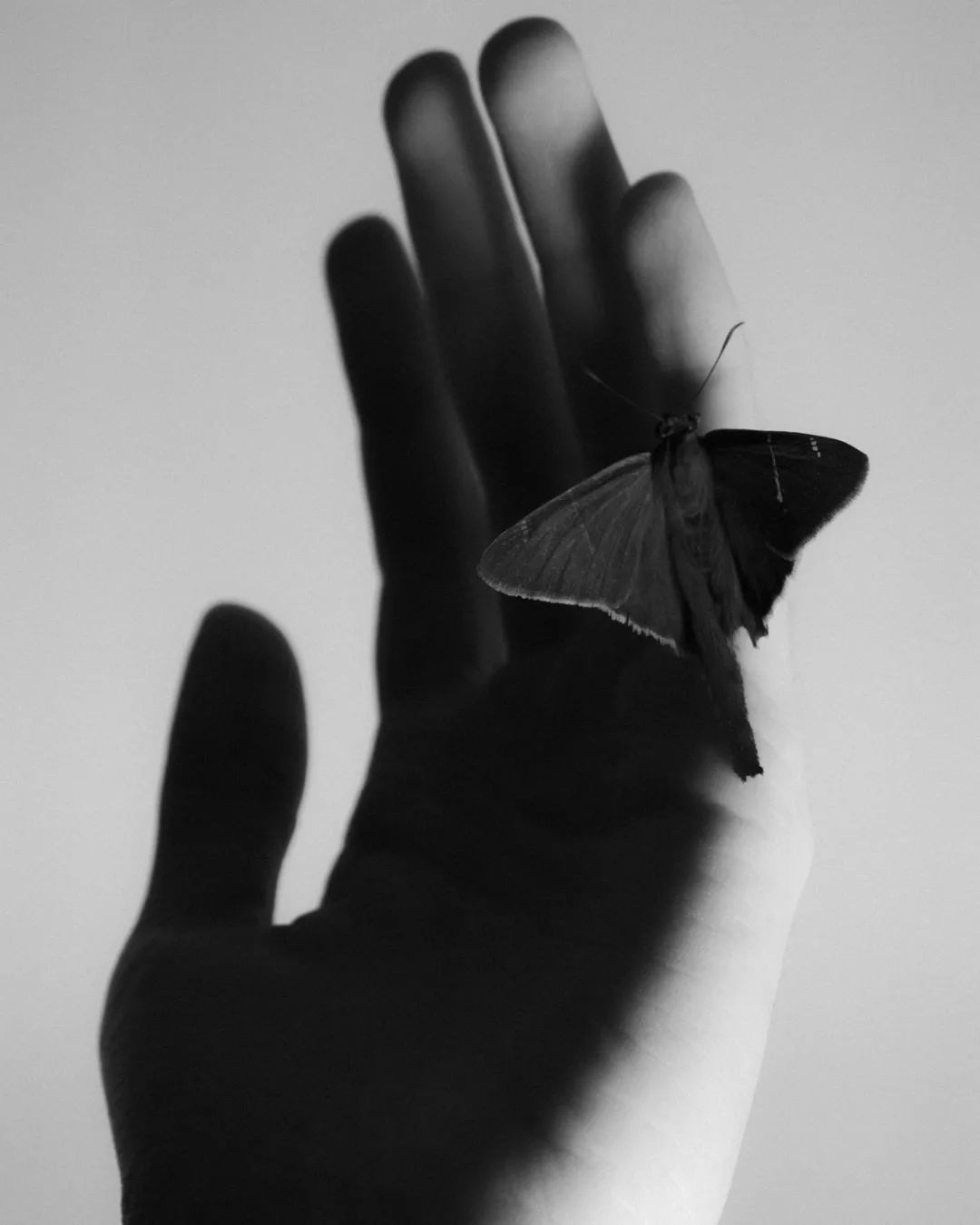 Вдохновение недели. Private image