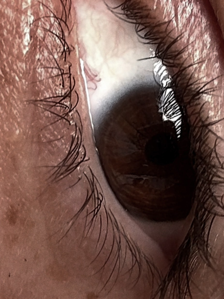 WIND. Виолетта Скрипка