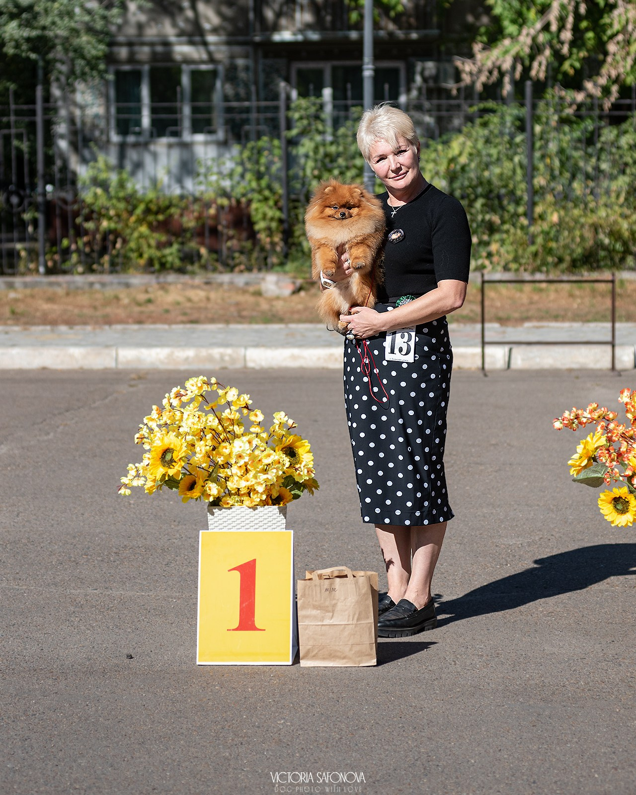 15 сентября 2024. Благовещенск. Монопородная выставка шпицев. Фотограф анималист Благовещенск. Сафонова Виктория