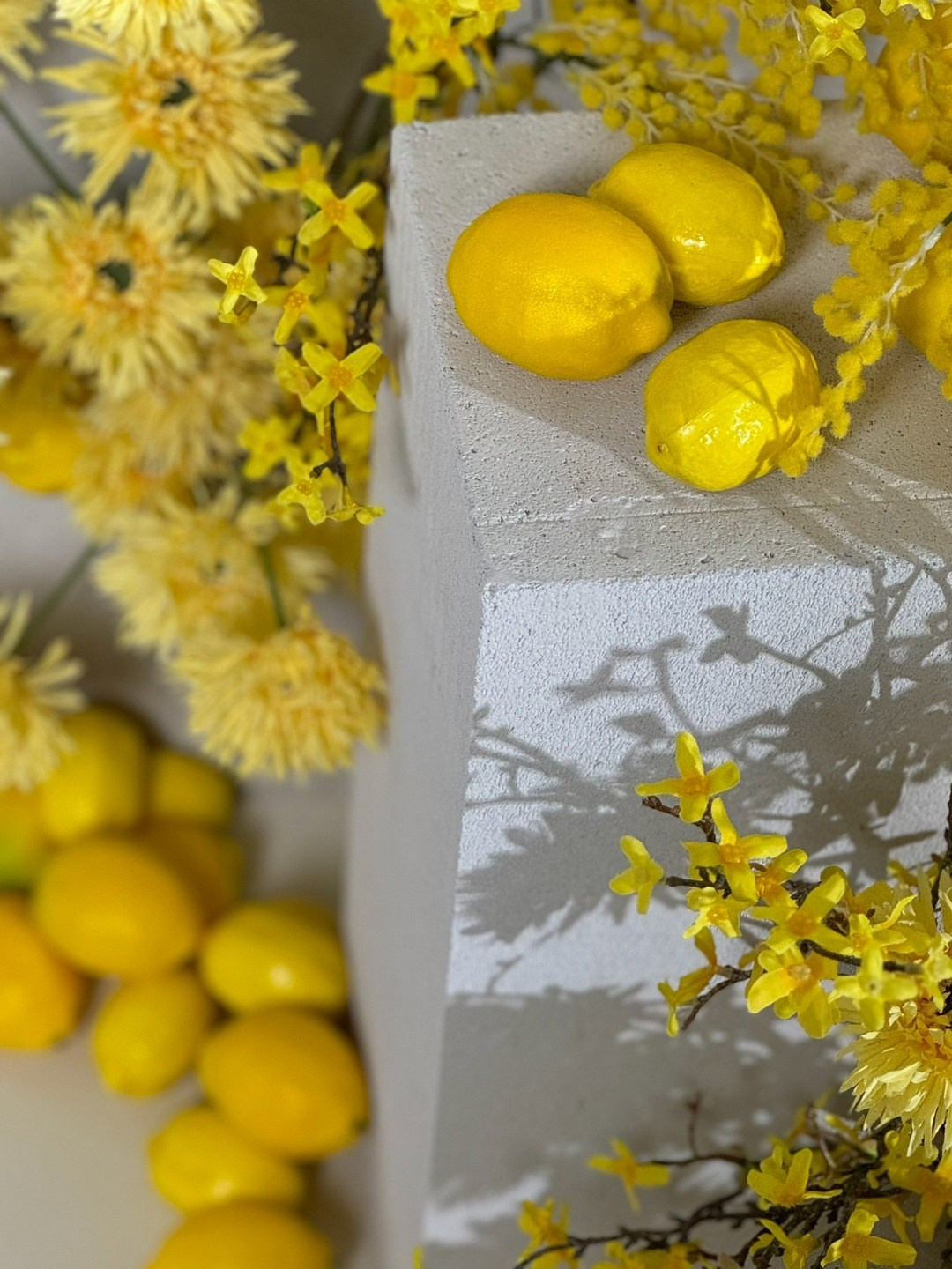 Cute — улица Лидии Базановой, 11, Тверь. Фотограф Тверь. Свадебные, семейные, индивидуальные фотосессии