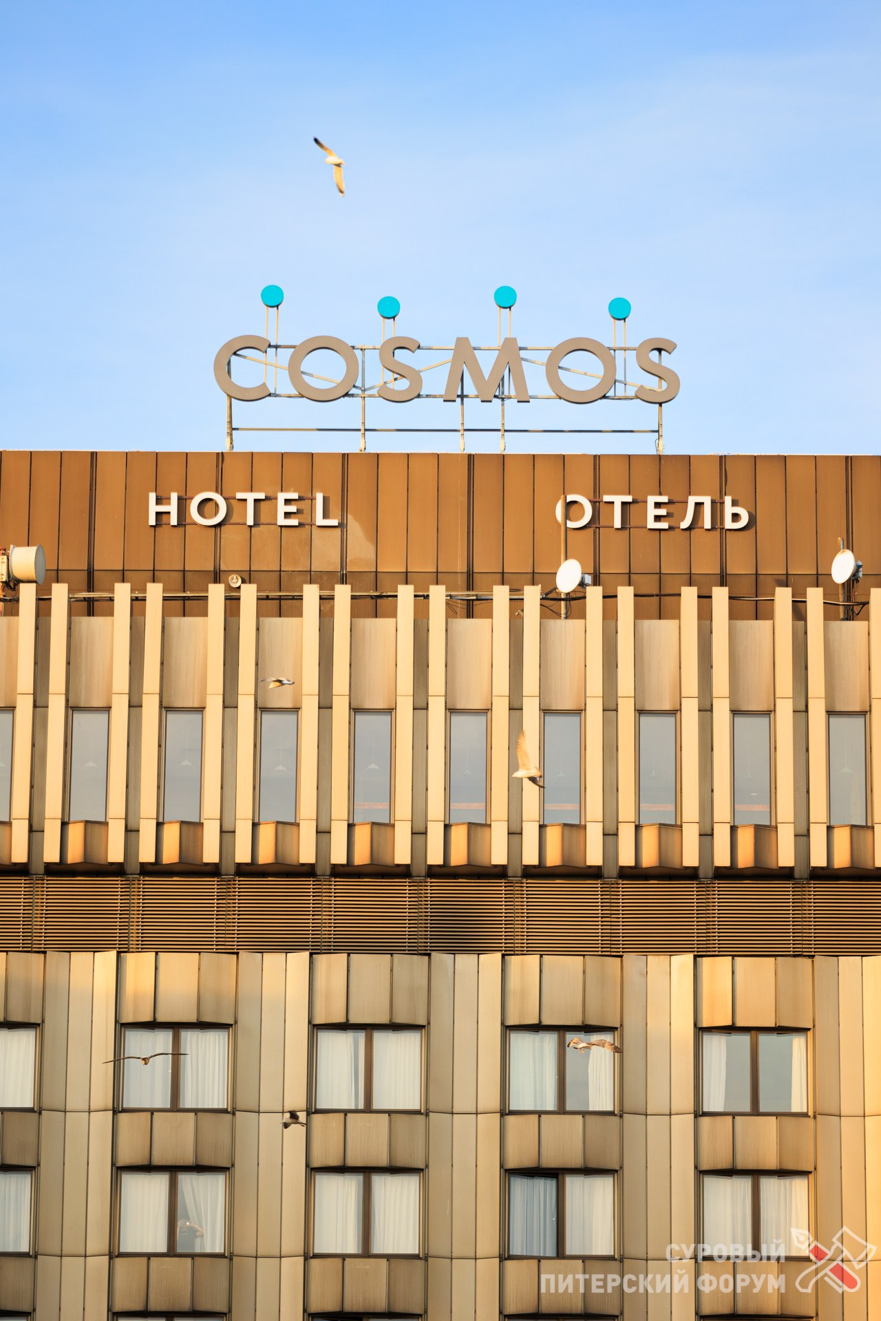 Суровый Питерский Форум. Эпизод Х. Репортажный фотограф в Санкт-Петербурге Александр Паклин