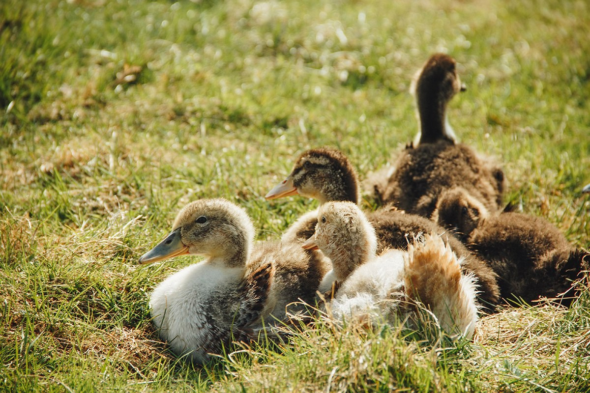 Vyksa. ФОТОГРАФ ANASTASIA KOSHELEVA