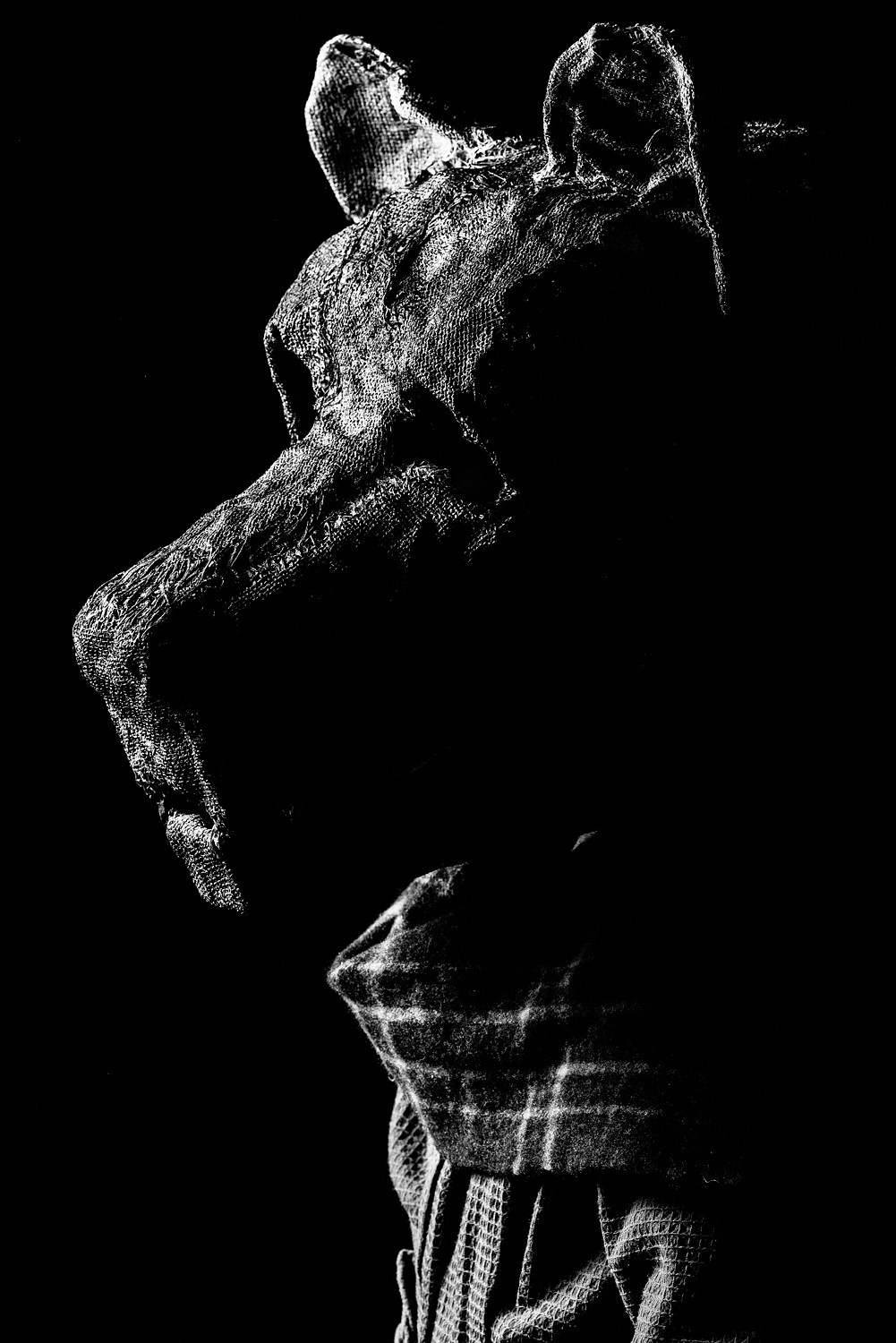 Контент. Фотограф Михаил Ряховский