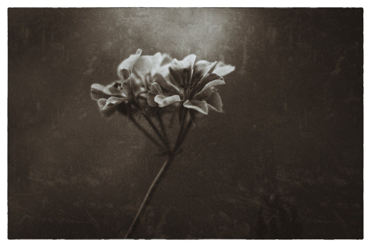 Духовенство. DMITRY MOISEENKO — фотограф, художник, топ-стилист