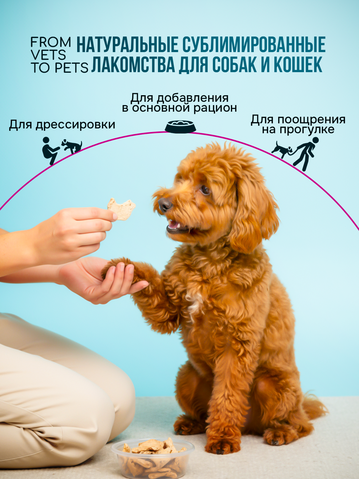 Дизайнер инфографики для маркетплейсов | Wildberries и Ozon. Инфографика для маркетплейсов, ваш персональный дизайнер