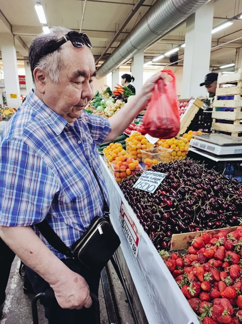 Намобилкус казахский. Репортажный фотограф Алексей Пирязев