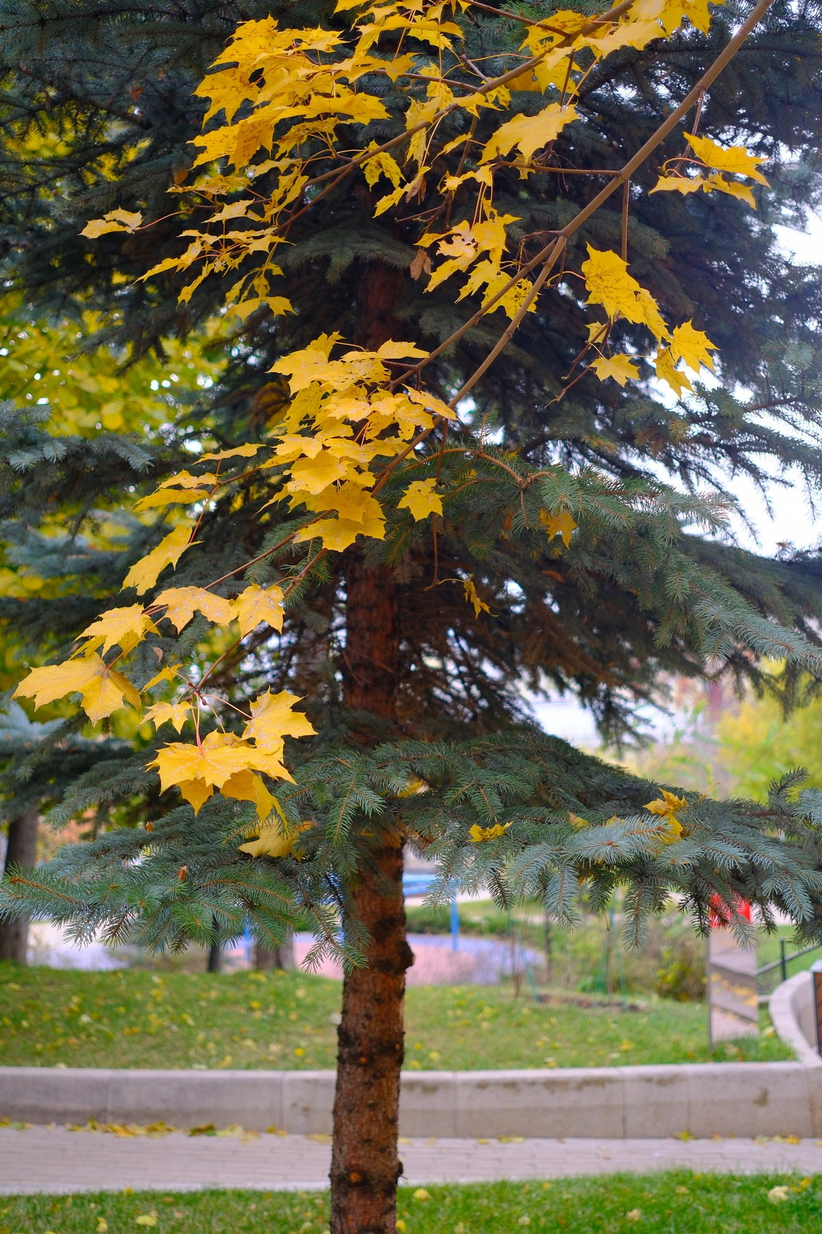 Улица, люди, жизнь…