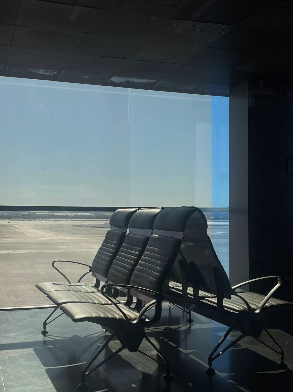 Лягушки-путешественницы. Портретный фотограф | Олеся Комарова | Екатеринбург