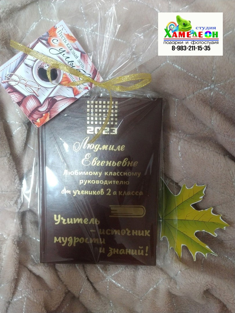 БЛОКНОТЫ. Детский и Школьный фотограф Светлана Гулова