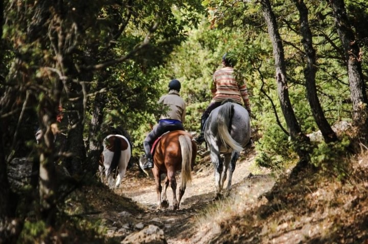 Уштулу. GIGI TOUR