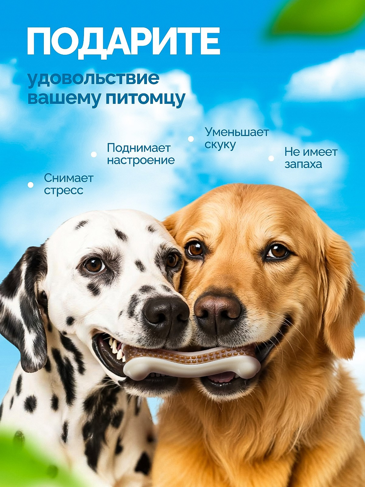 Косточка для собак. Предметная съёмка и инфографика для маркетплейсов в Краснодаре