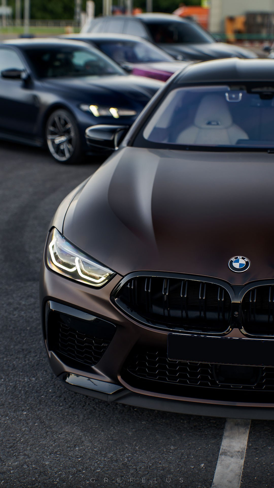 BMW Meet Moscow