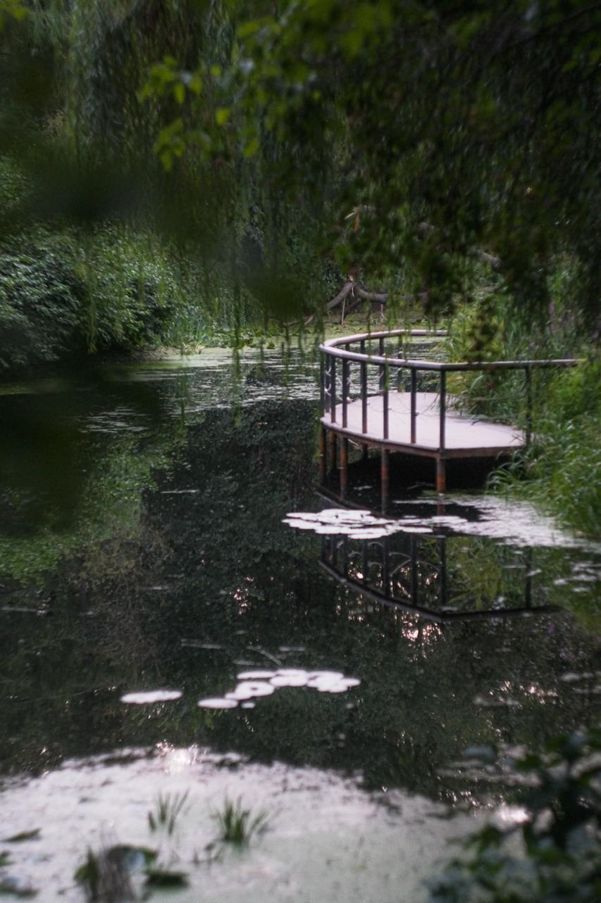 Аптекарский огород. Софа Катастрофа, Одичание. фотохудожница, креативный продюсер, автор. Nude, eros, портретный фотограф