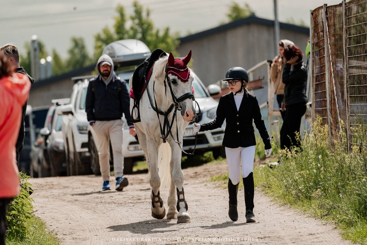 ЛЕТНИЙ КУБОК по КОНКУРУ, КСК «СОЗВЕЗДИЕ». Куракина Дарья • Конный фотограф