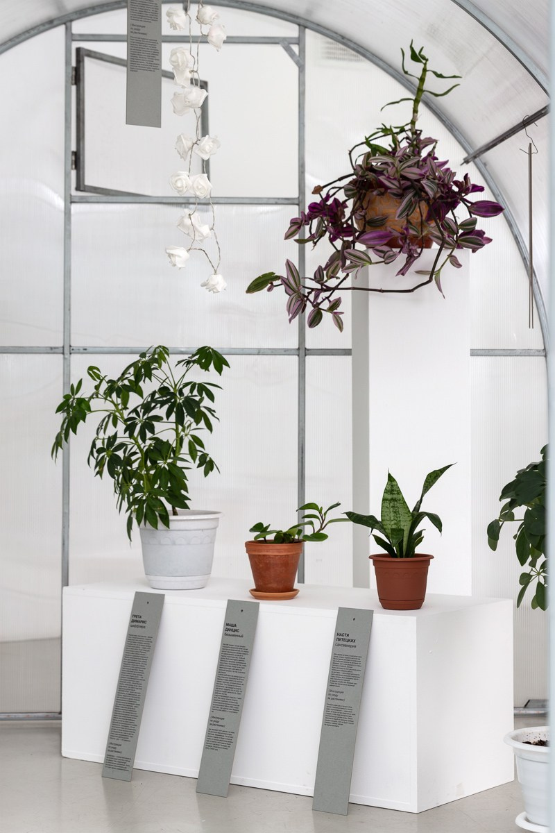 Exhibition. Alexey Bogolepov photography