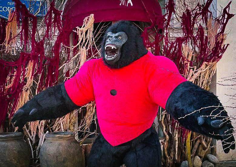 Эксперсс поздравление.ростовые куклы, медведь, панда, горилла. Организатор праздников. Ведущая Марина Гребенникова