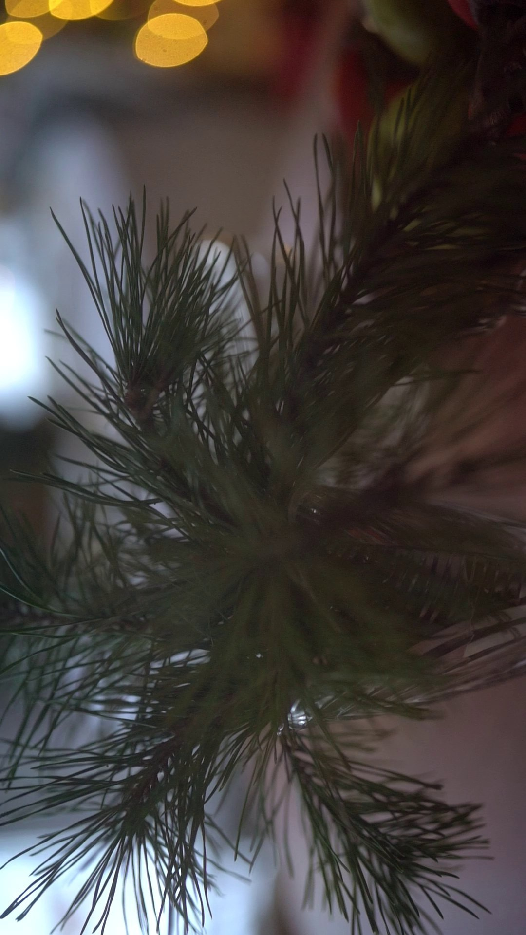 ВидеоИстории. Семейный и детский фотограф в Сергиев Посаде, Хотьково Якимчук Любовь